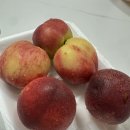 과일맛있는집