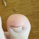 누빌샵1 네이버블로그