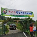 김문수농장 이미지