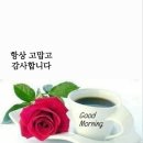 좋은사람 이미지