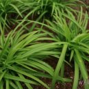 은미농장 이미지