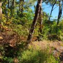 도순동-3 이미지