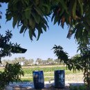 오만농장 이미지