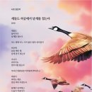 새들채 이미지