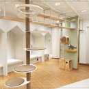 석 동물병원 이미지