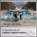 고려대학교사범대학부속중학교 이미지