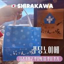 노이에 | [일본/나고야] 시라카와고 푸딩의 집 푸딩노이에 맛 추천 및 웨이팅 후기