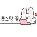 세븐일레븐 서귀포 엠스테이점 이미지