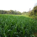 마도바이오부동산공인중개사사무소 이미지