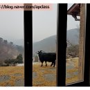 태화목장 이미지