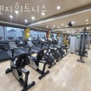 오렌지휘트니스 이미지