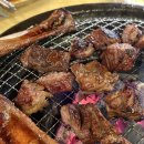 갈비둥지 - 달서구 달서대로85길 13 | [대구 돼지갈비 맛집] 갈비 생각날 때마다 재방문하는, 갈비둥지 후기