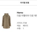 아멜리아 | 에르노(Herno) 아멜리아 2600 패딩 후기 - 세타이어 직구, 사이즈
