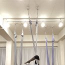 (초급) 생활요가 이미지