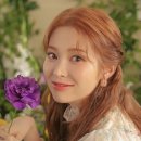 예스노스튜디오 이미지