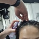 송탄 서정리 동물약국 | 송탄미용실 추천, 두피클리닉 관리 받기 좋았던 혜움헤어 송탄점