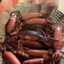 맛점시대 이미지