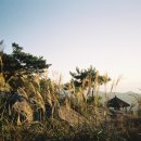 미륵산민박 이미지