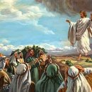[설교노트] 부활의 증인과 사명자가 되라 (마28:1-20)-24.6.28(새벽) 이미지