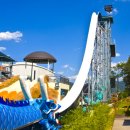 수성유도관 이미지