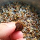 신가네농장 이미지