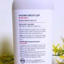 마인드리퍼블릭