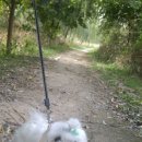 해오라기공원 화장실 이미지