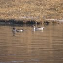 바다랑파도랑 이미지