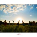 허수아비 이미지