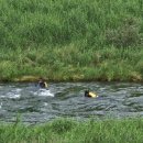 무릉도원면-43 이미지