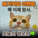기획하니 | [메가커피] 오늘의 행운냥🍀 | 내돈내산 소확행 주문 리뷰, 그림 후기