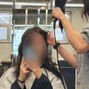 라일미용실 | 재방문) 홍대미용실 추천 | 팅크 지연실장님 브라운 염색 후기