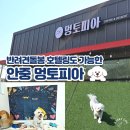 GS25 평택로얄점 | 평택 애견 카페 안중 멍토피아 애견카페 후기 | 호텔링도 가능한 강아지가 더 좋아하는 공간