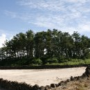 대포리목장 이미지