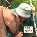 도토 이미지
