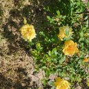 광교산생태학교 이미지