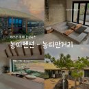 농띠 | 제주도 독채 감성숙소 농띠펜션 농띠안거리 내돈내산 솔직후기