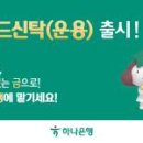자유센타 농협앞 이미지