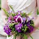 스톡(stock) 이미지