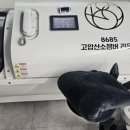 수원-0487 이미지