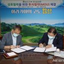 일성 이미지