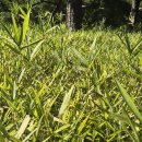 솔안공원 이미지