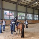 단양소백산중학교 이미지