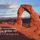 델리케이트 이미지