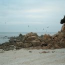 인천공항초등학교 이미지