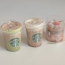 가나슈 초콜릿 | 2월 스타벅스 신상 : 두바이 초콜릿 음료 2종, 딸기 가나슈 프레지에 솔직 후기