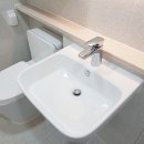 보우근화 이미지