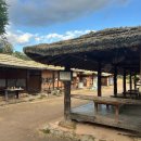 with(지리산건강찾기) 이미지