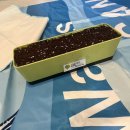 고기친구 | 다이소 고기친구 텃밭세트 5,000원 후기 🌱