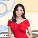 (주)펫투데이 이미지